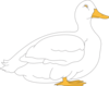 White Duck Clip Art